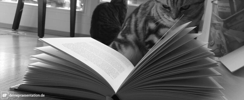 Lesetipps Beispielbild 1 Katze Buch