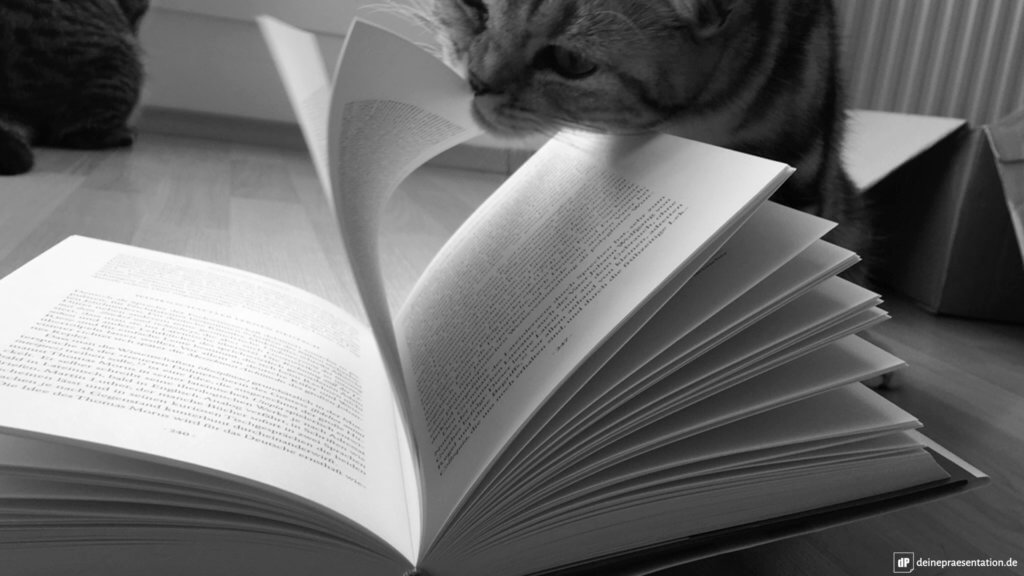 Lesetipps Beispielbild Titelbild Gross Katze Buch